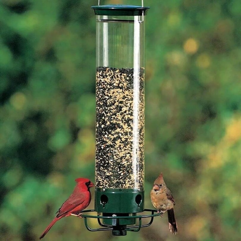 🔥Neuer Frühling 2026🔥100% stöpselsicheres Vogelfutterhaus-50% OFF