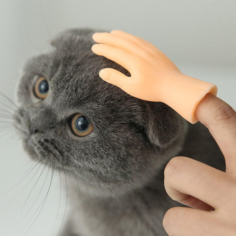 Gluschwein - Lustige Katzen-Massagehandschuhe