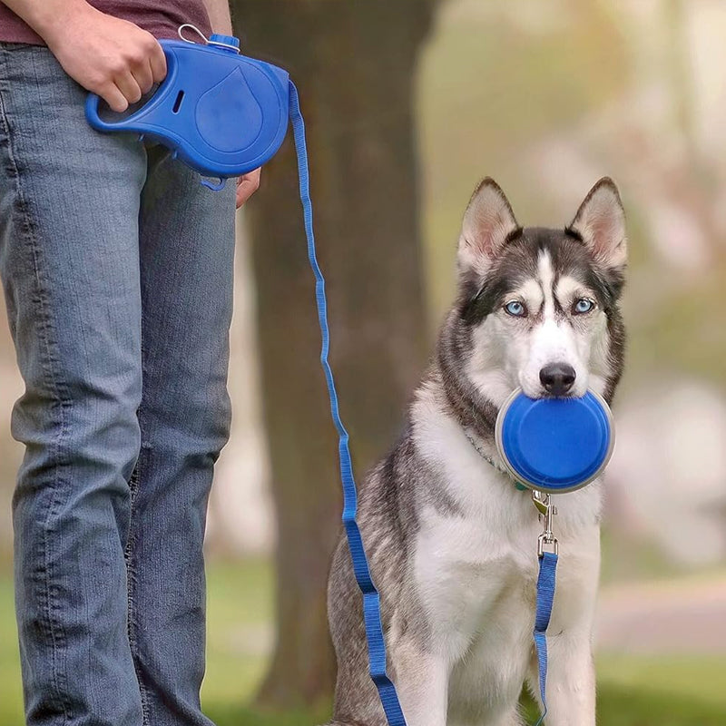 Gluschwein - 4-in-1-Rollleine für Hunde