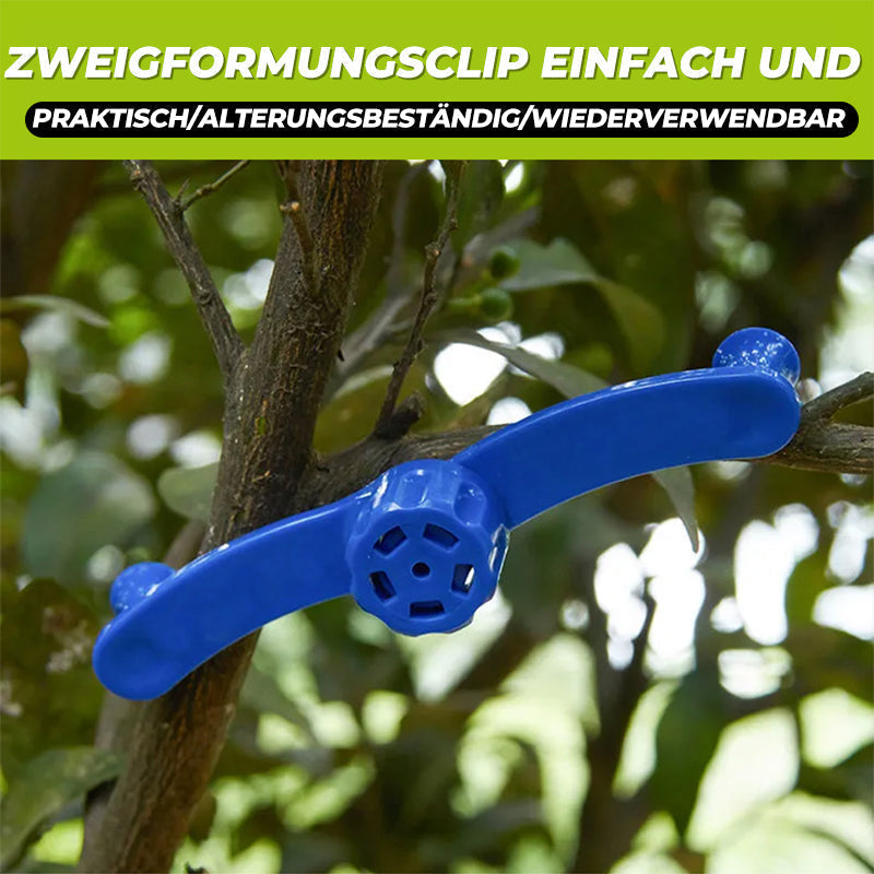 Gluschwein - 🌱🌱Fixateur für Zweigmodellierung