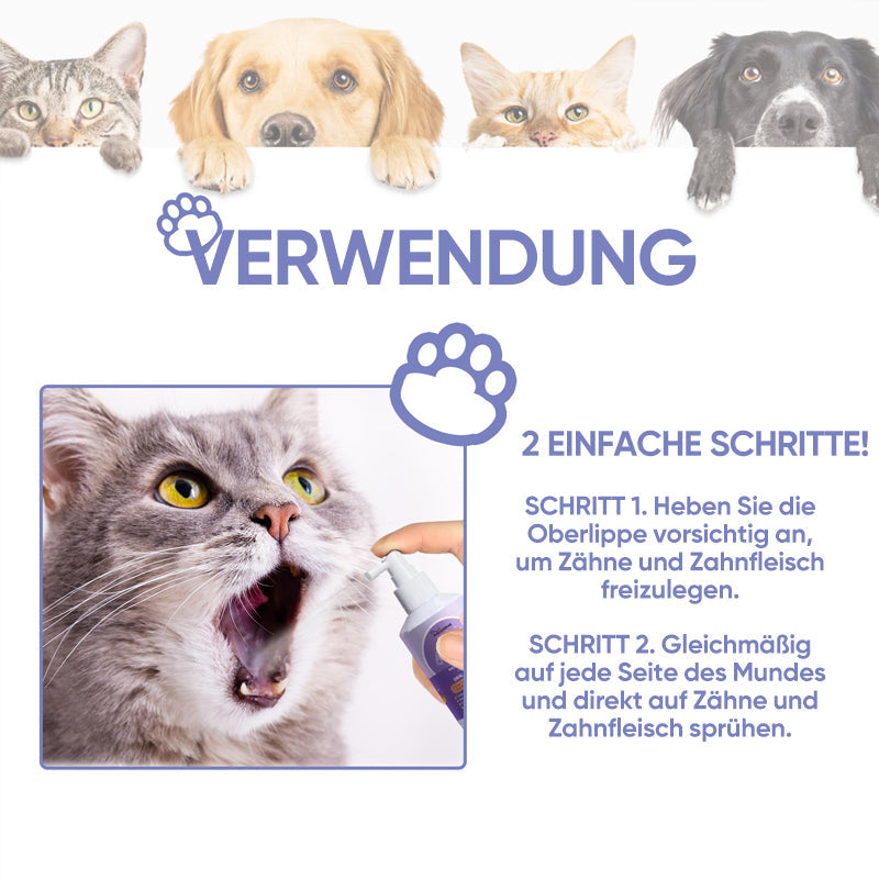 Gluschwein - Hunde- und Katzenzahnreinigungsspray