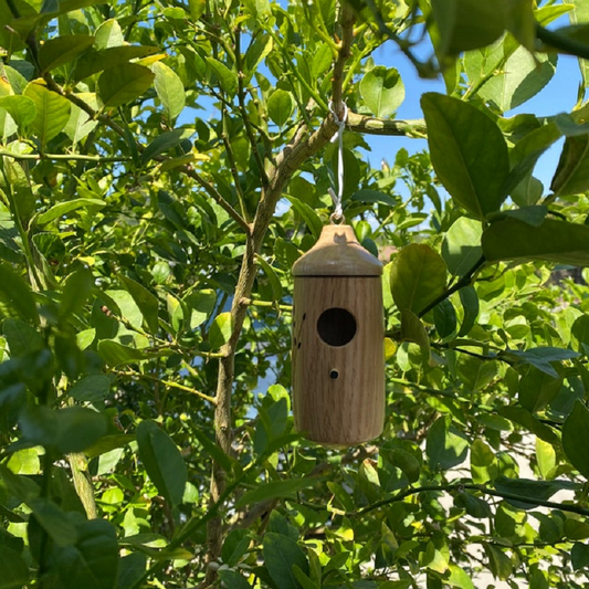 Gluschwein - Kolibri-Haus