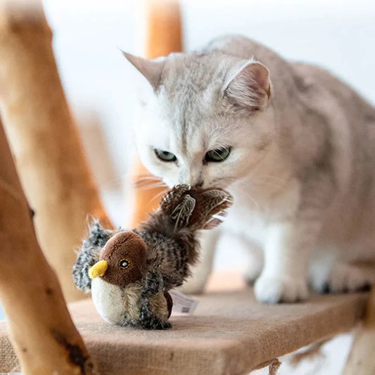 Jouet pour chat – Oiseau gazouillant simulé