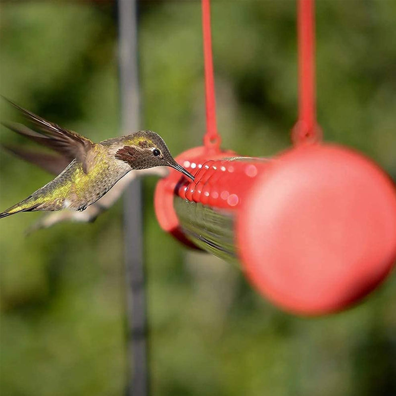 Gluschwein - Blumenbar-Kolibri-Futterstation