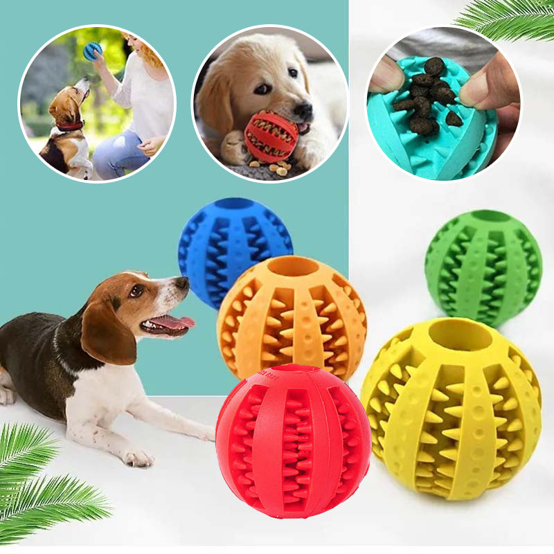 Jouets de dentition pour chiens