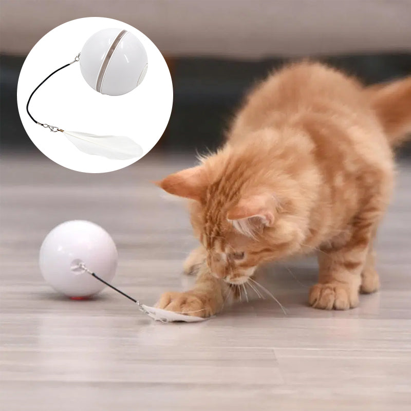 Gluschwein - Automatisch geführter, intelligenter Katzenball