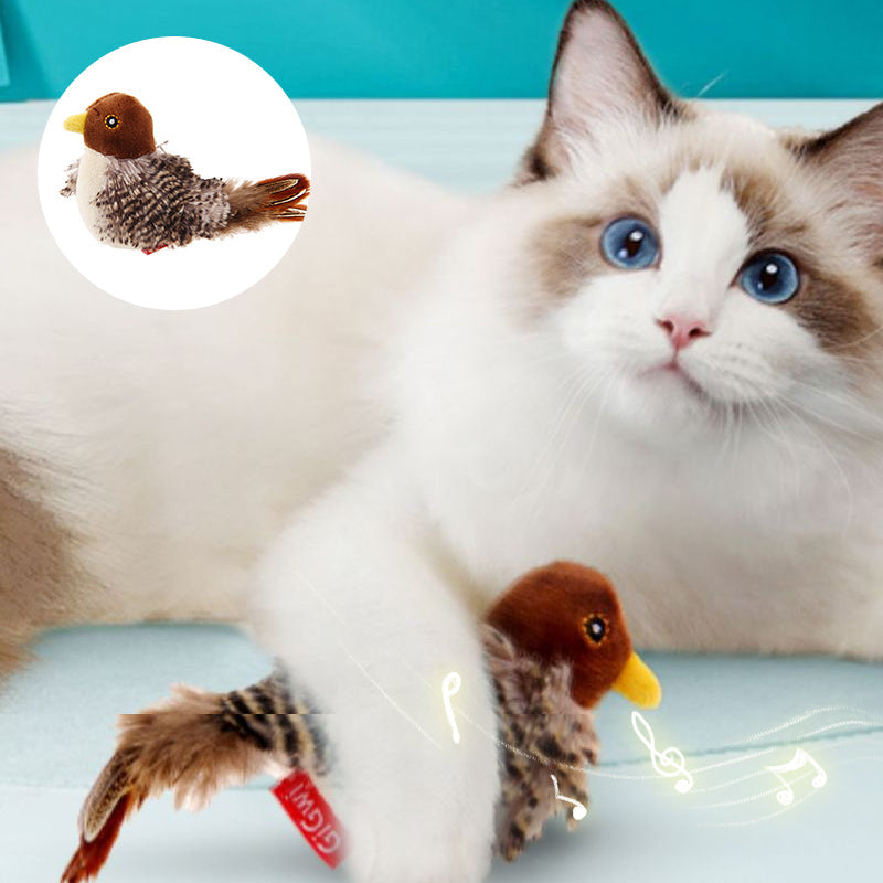 Jouet pour chat – Oiseau gazouillant simulé