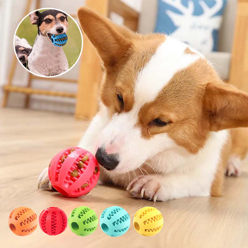 Jouets de dentition pour chiens