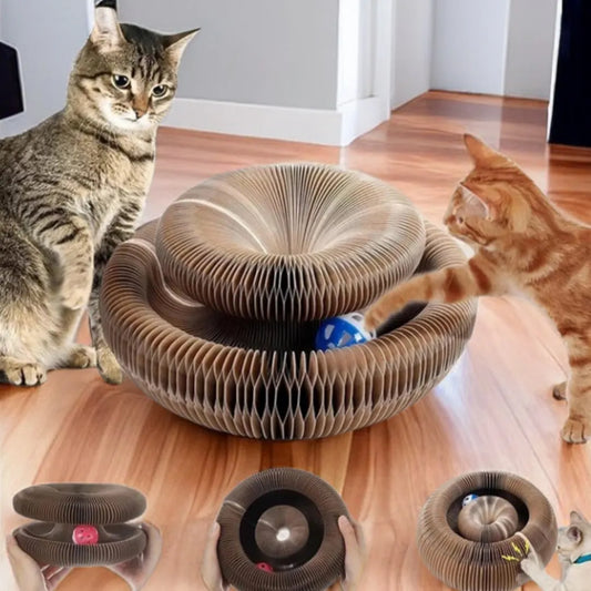 PurrPlay | Un divertissement multifonctionnel pour des chats heureux 