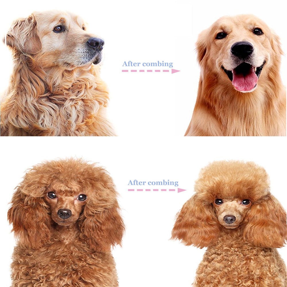 🐶🐱🔥 2+1 GRATIS 🎁 Professionelles Enthaarungs-Tool für Hunde & Katzen – entfernt lose Haare schnell & effektiv ✨