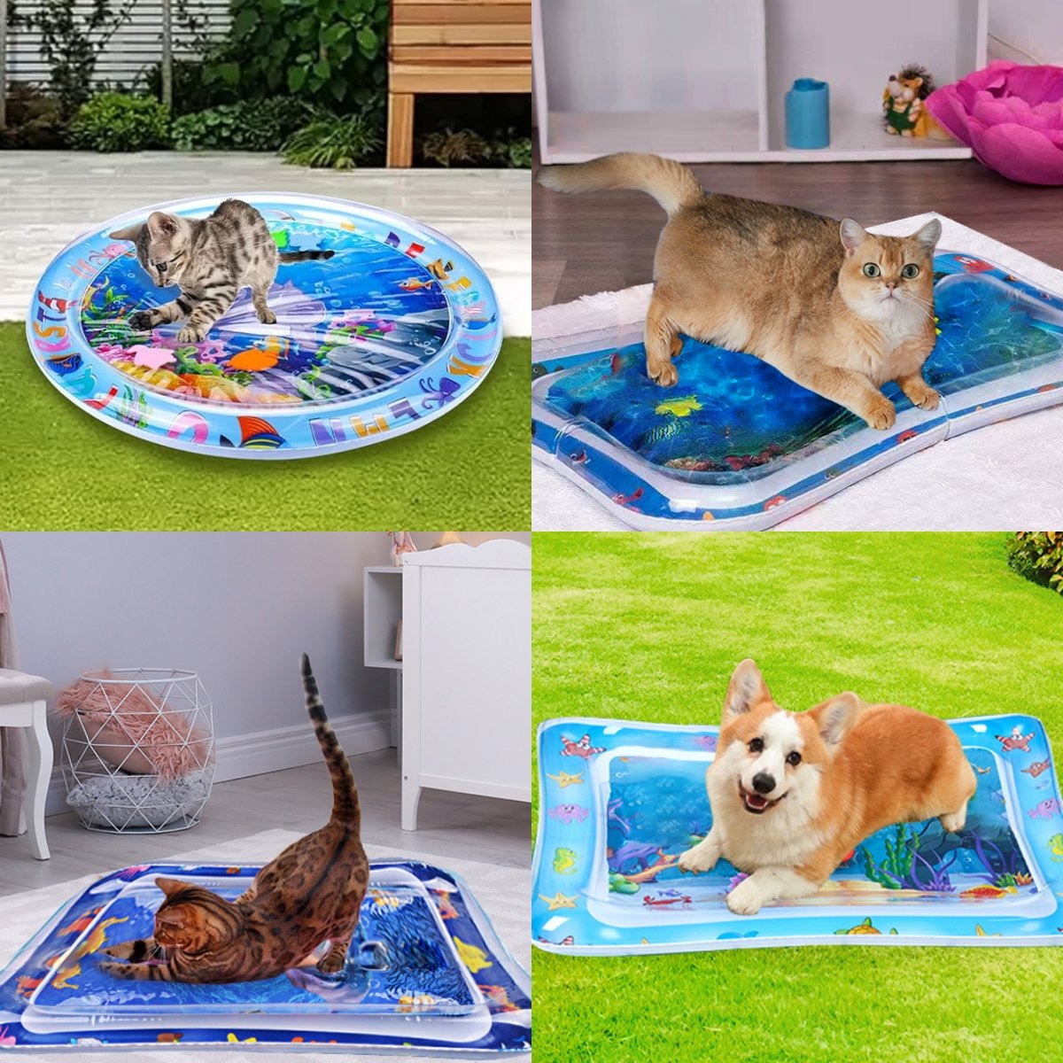 Gluschwein - 🐱 Mehr Spaß für Wohnungskatzen – 49% Rabatt ✨ Sensorische Wassermatte für Haustiere – Für spielerisches Jagen und erfrischende Abkühlung! 🐟