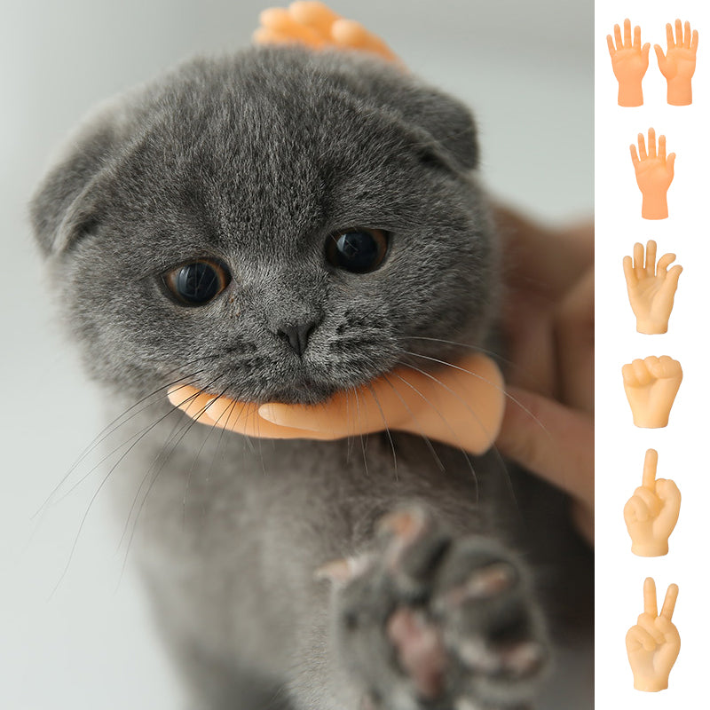 Gluschwein - Lustige Katzen-Massagehandschuhe