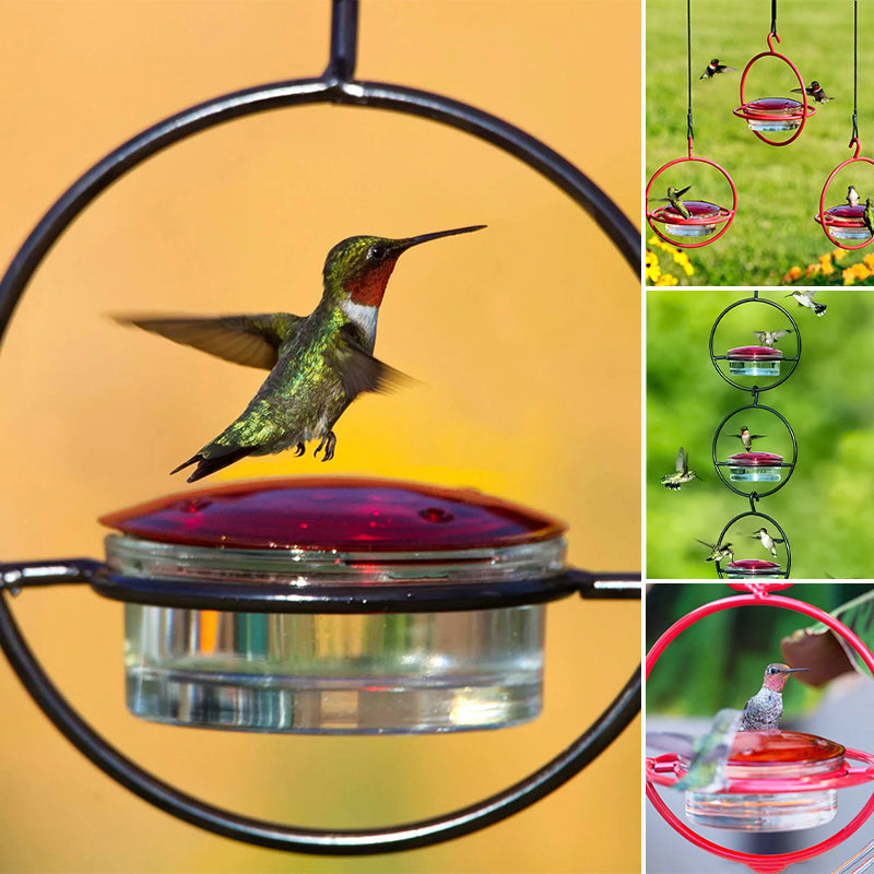 Gluschwein - Einfacher Kolibri-Wasserspender aus Metall