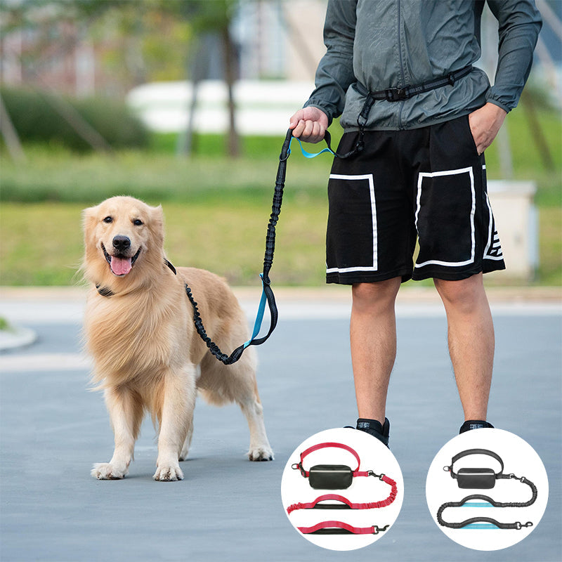 Laisse et sac ceinture multifonctions pour chien