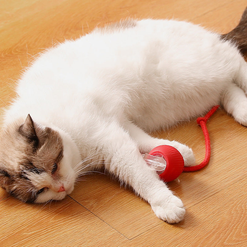😽49% Rabatt für eine begrenzte Zeit 🔥 Automatisch rollender intelligenter Haustierball