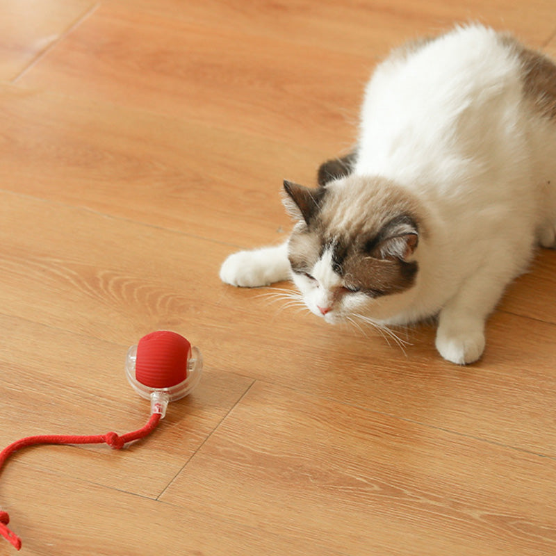 😽49% Rabatt für eine begrenzte Zeit 🔥 Automatisch rollender intelligenter Haustierball