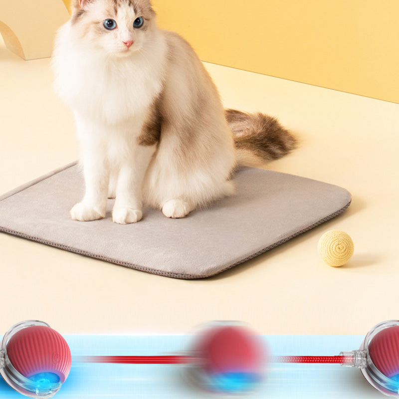 😽49% Rabatt für eine begrenzte Zeit 🔥 Automatisch rollender intelligenter Haustierball