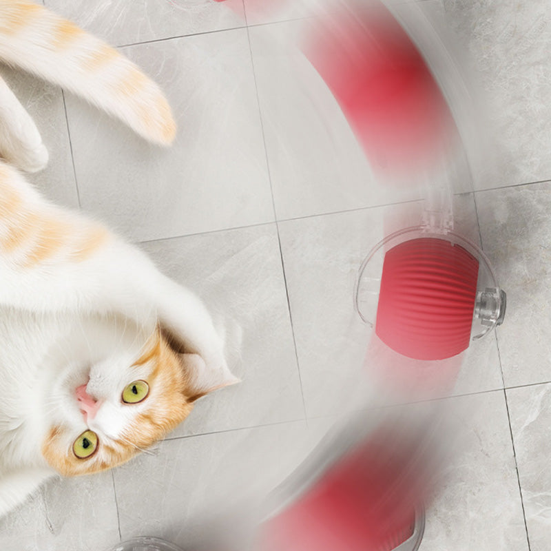 😽49% Rabatt für eine begrenzte Zeit 🔥 Automatisch rollender intelligenter Haustierball