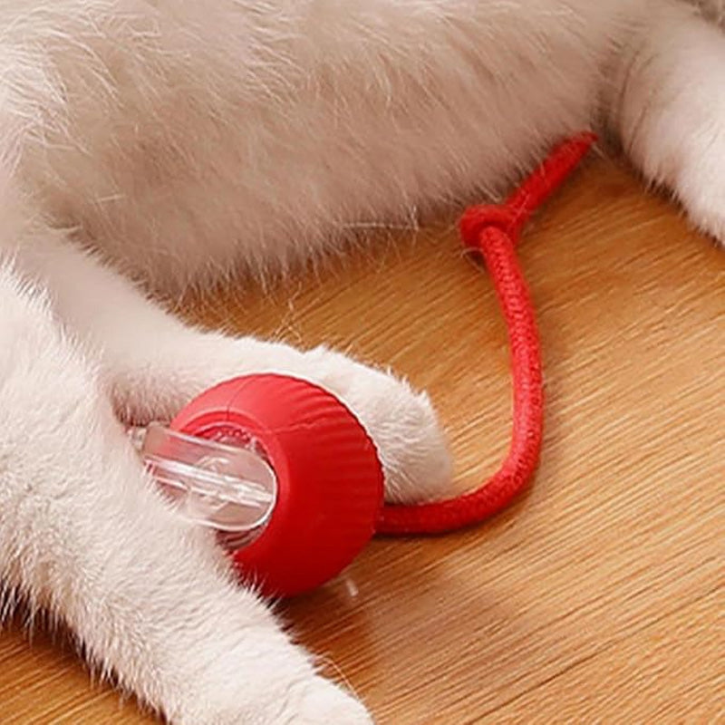 😽49% Rabatt für eine begrenzte Zeit 🔥 Automatisch rollender intelligenter Haustierball