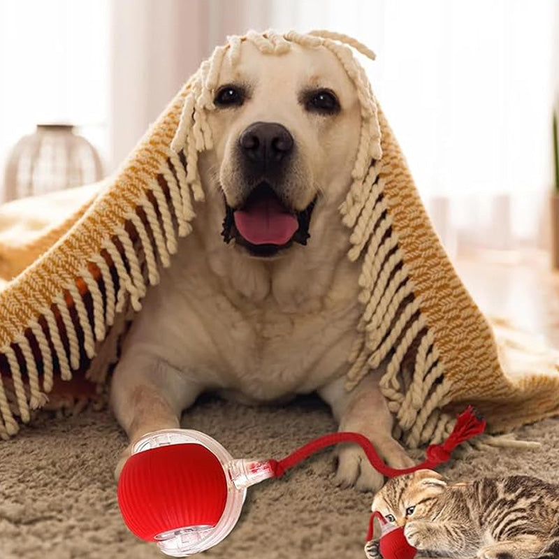 😽49% Rabatt für eine begrenzte Zeit 🔥 Automatisch rollender intelligenter Haustierball