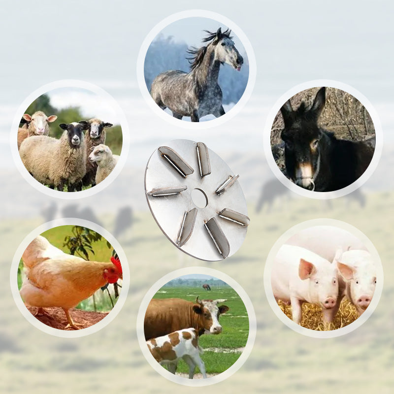 🐄 LIMITED-TIME 50% RABATT! ✨ Tier-Entfilzungswerkzeug – Edelstahl, Winkelschleifer-Kompatibel, Für Nutztiere 🔧