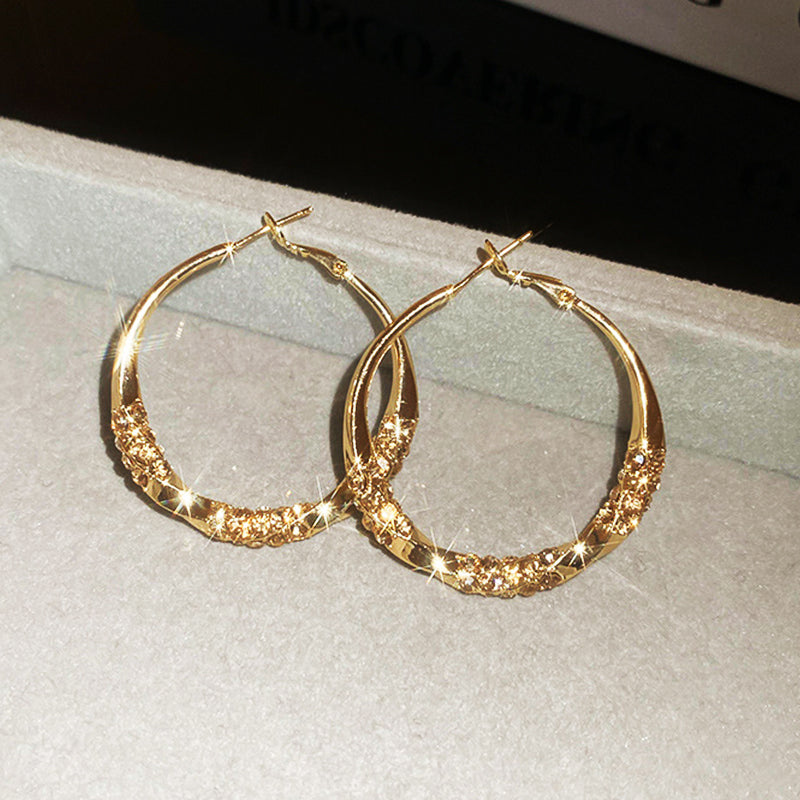 🌺 LIMITIERT: 49% RABATT! 🔥  Wer zuerst kauft, bekommt zuerst!！！Circle Earrings with Zirconia