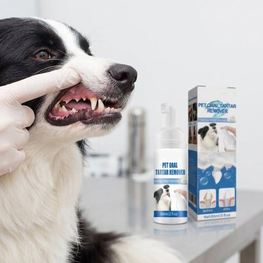 Gluschwein - 💘 Nur für kurze Zeit: 50% Rabatt!🐾 Schaum-Zahnsteinentferner für Haustiere – Natürliche Formel & mühelose Anwendung!
