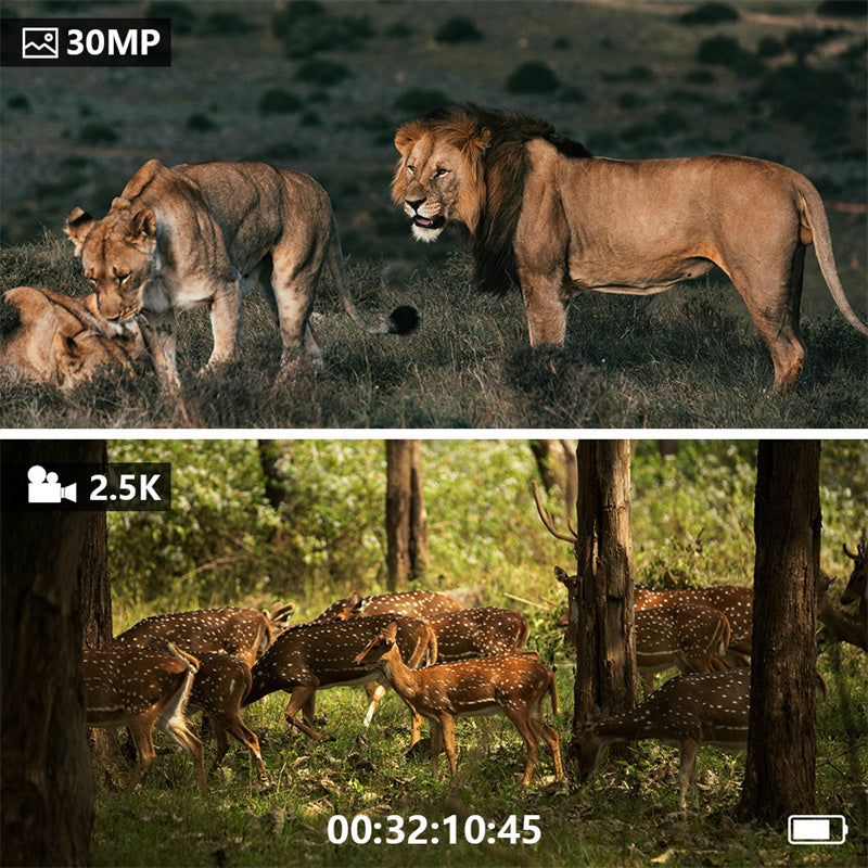 🔭 50% RABATT! 🌙 Digitales Nachtsicht-Fernglas – HD, Tag & Nacht & hochauflösend – Perfekt für Tierbeobachtung, Camping oder Sicherheitseinsätze – klares Bild auch bei Dunkelheit 🔦