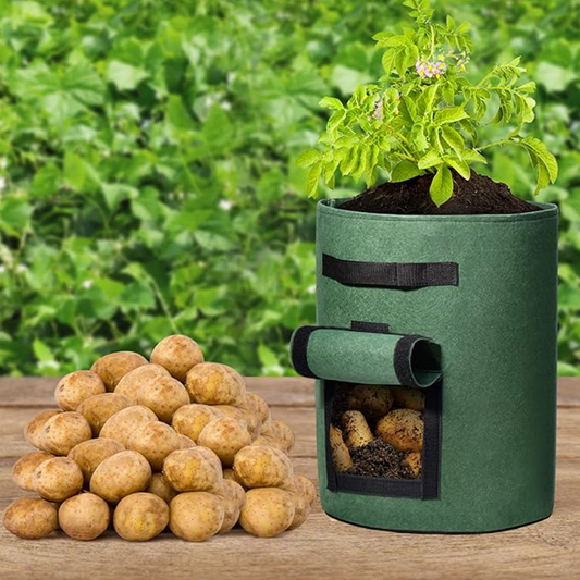Gluschwein - Stoff-Anzuchtbeutel für Kartoffeln mit Erntefenster