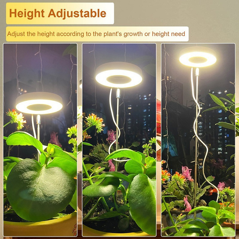 Gluschwein - 🔥Solange der Vorrat reicht 40 % Rabatt!🎉LED-Engelsring-Pflanzenwachstumslampe