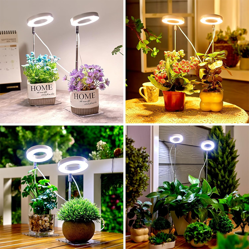 Gluschwein - 🔥Solange der Vorrat reicht 40 % Rabatt!🎉LED-Engelsring-Pflanzenwachstumslampe
