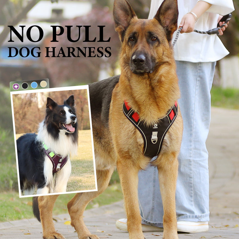 📢📢40 % RABATT !! ⏰Hundegeschirr ohne Zugkraft mit Leine und Halsband mit LED