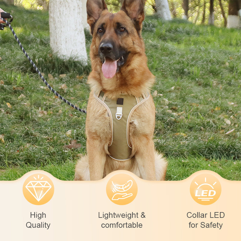 📢📢40 % RABATT !! ⏰Hundegeschirr ohne Zugkraft mit Leine und Halsband mit LED
