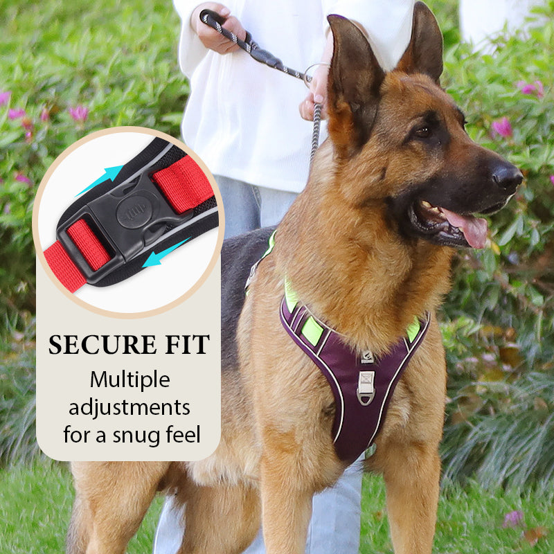 📢📢40 % RABATT !! ⏰Hundegeschirr ohne Zugkraft mit Leine und Halsband mit LED