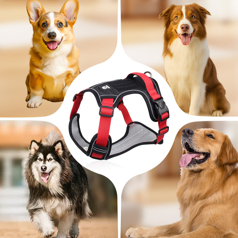 📢📢40 % RABATT !! ⏰Hundegeschirr ohne Zugkraft mit Leine und Halsband mit LED