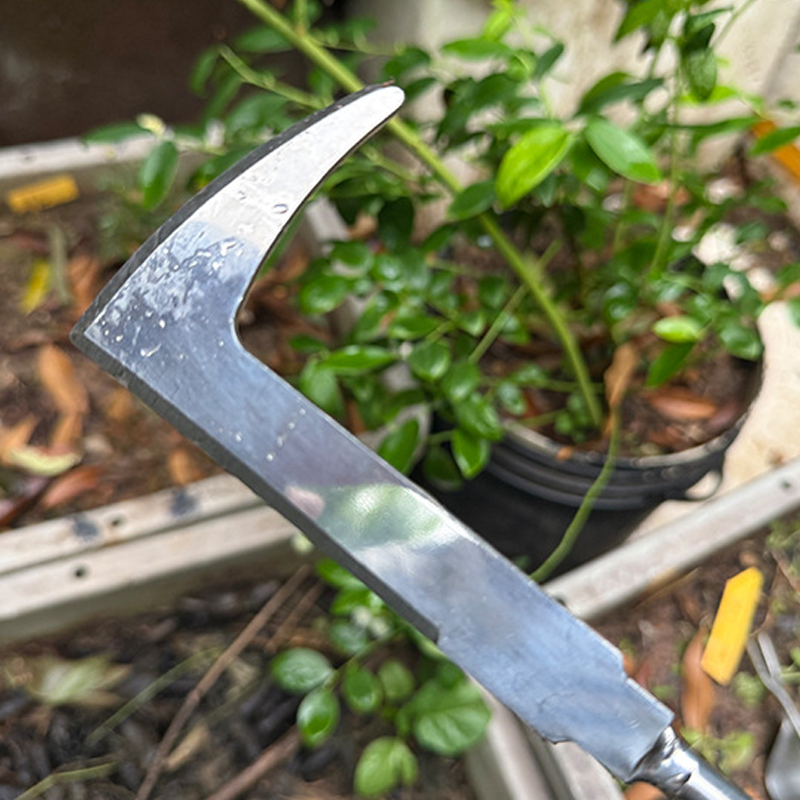 Gluschwein - 🌿 50% RABATT! 🔧 Multifunktionale Unkraut- & Wurzelziehschaufel – Zum Jäten, Lockern & Umpflanzen, Ideal Für Garten, Beet & Rasen 🧑‍🌾