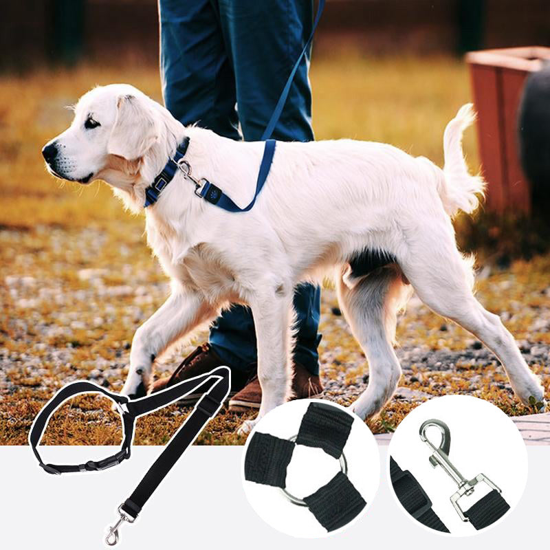 📢📢49% Rabatt!! ⏰🎁 2+1 GRATIS!! 🥳🐶 Heißer Verkauf – Einziehbarer Hunde-Autosicherheitsgurt 🚗