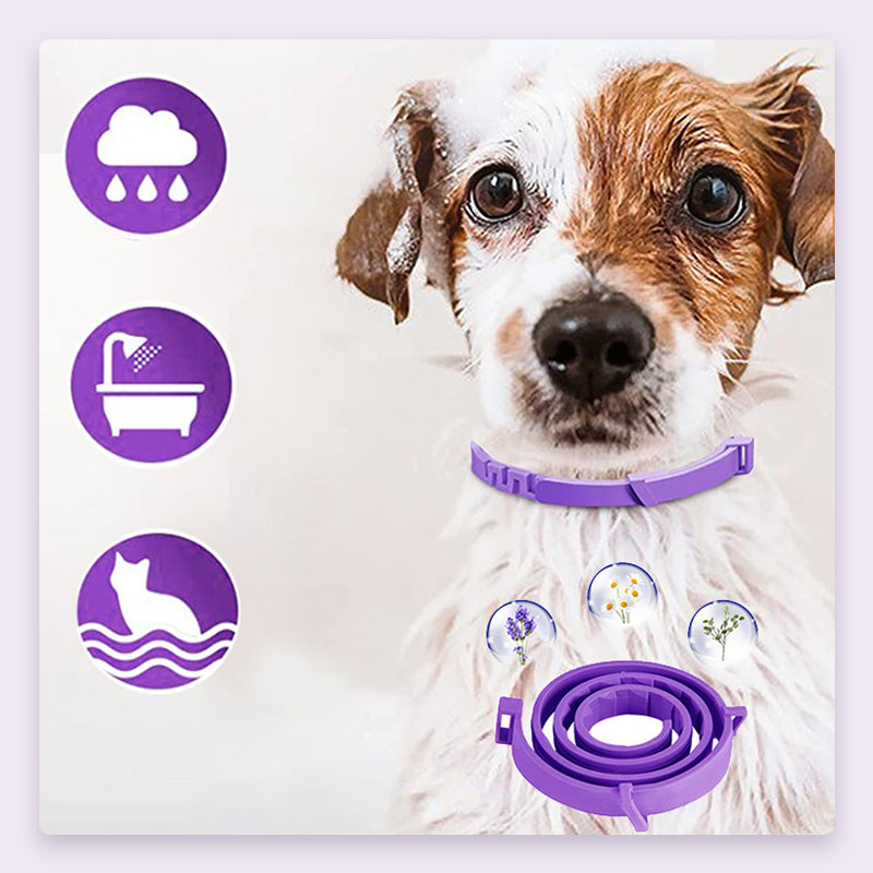 🥳HEISSER SALE 2026🥳💞50.000+ VERKAUFT!  Verstellbare Floh- und Zeckenhalsbänder für Hunde und Katzen
