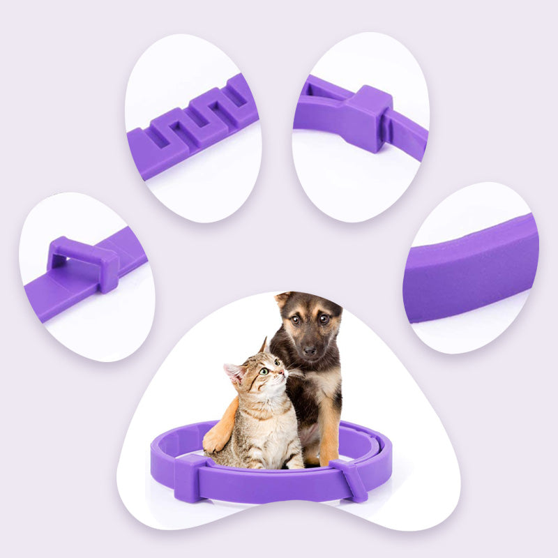 🥳HEISSER SALE 2026🥳💞50.000+ VERKAUFT!  Verstellbare Floh- und Zeckenhalsbänder für Hunde und Katzen