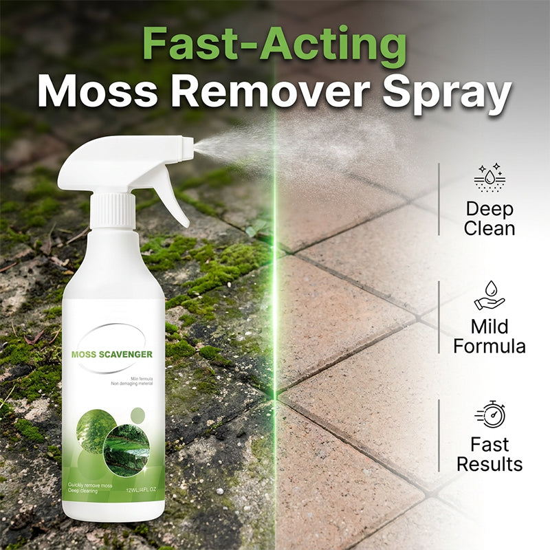 🌿 Moos- & Algenentferner Spray für Außenbereiche – Tiefenreiniger für Terrasse, Stein & Einfahrt