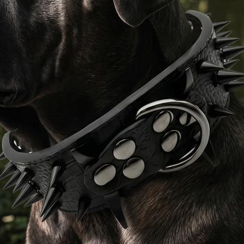 Stachelbesetztes Hundehalsband aus PU-Leder
